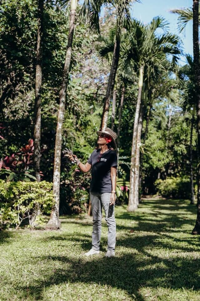 Maire Nui Gardens Guided Tour