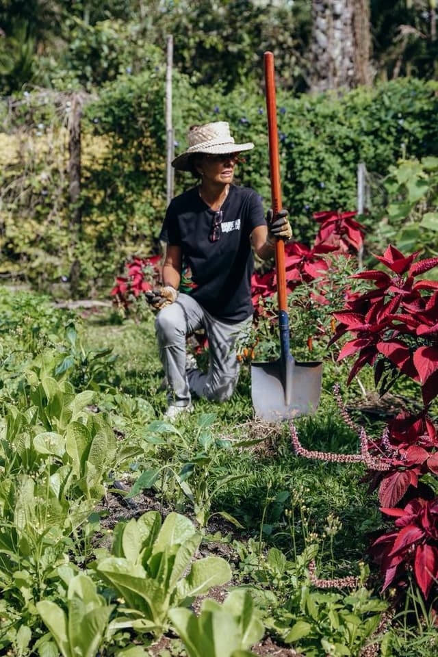 Maire Nui Gardens Guided Tour